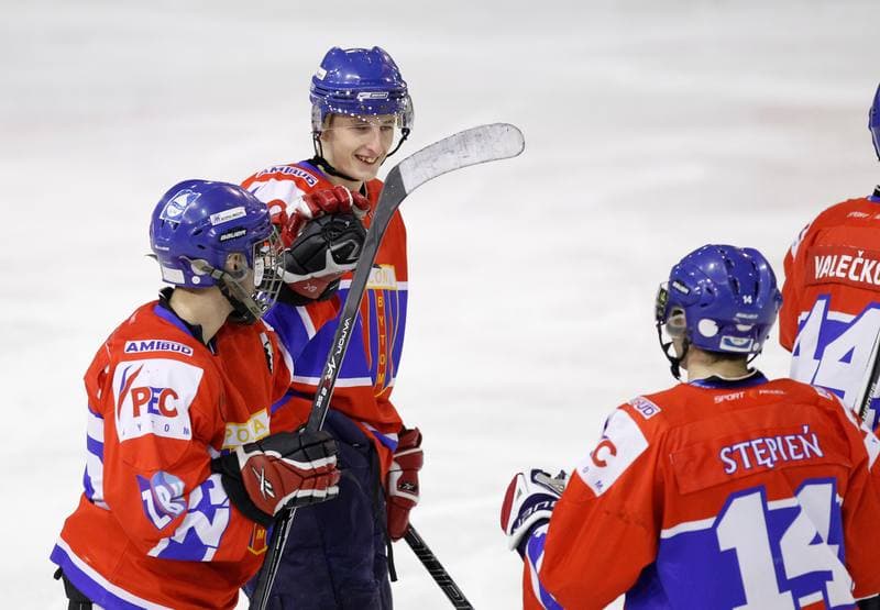 Ice Hockey. Polska Hokej Liga. HC GKS Katowice - Polonia Bytom. 01.02.2015