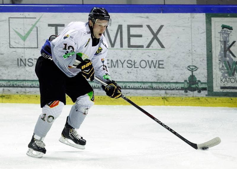 Ice Hockey. Polska Hokej Liga. Naprzod Janow - Ciarko KH Sanok. 14.12.2014