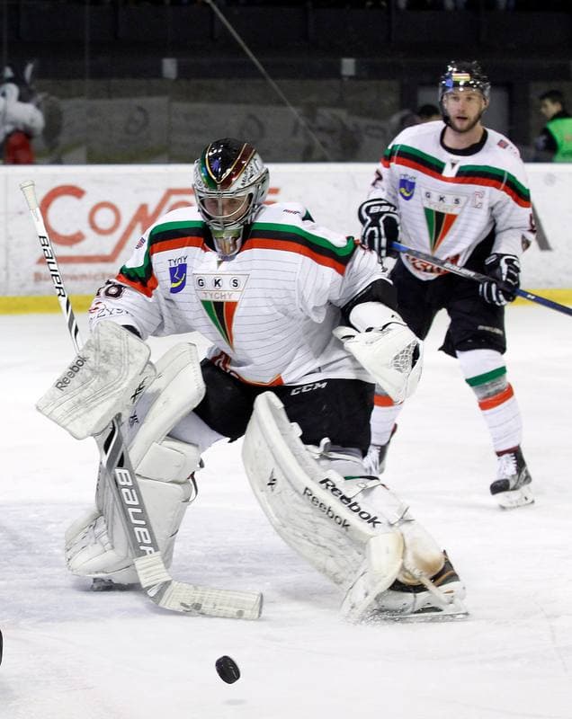 Ice Hockey. Polska Hokej Liga. GKS Tychy - Tatryski Podhale Nowy Targ. 29.02.2016