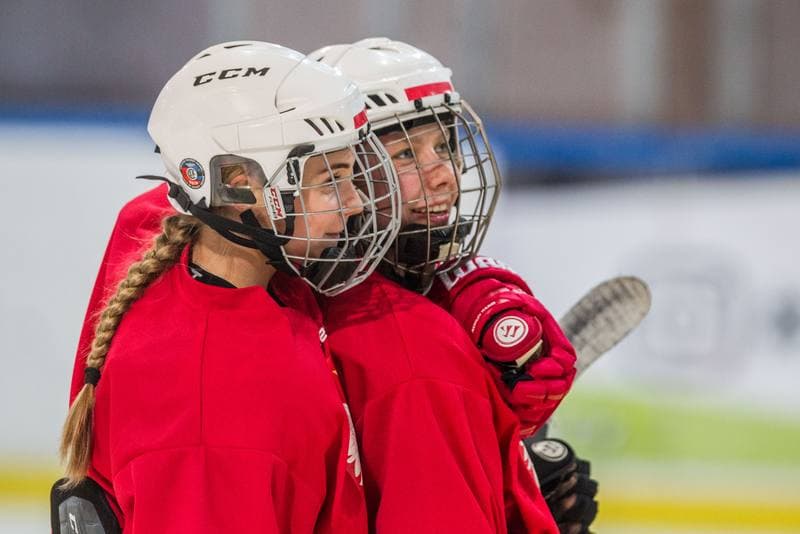 Ice Hockey. Poland national team. Training. 24.09.2019