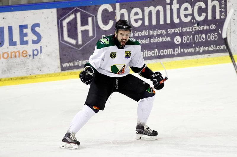 Ice Hockey. I Liga. Naprzod Janow - Zaglebie Sosnowiec. 12.03.2017