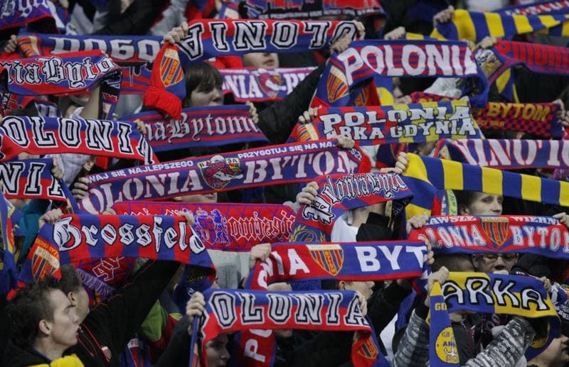 Football. Ekstraklasa. Polonia Bytom - Arka Gdynia. 13.11.2010