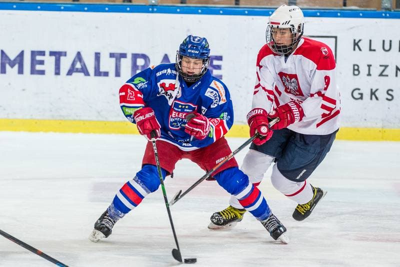 Ice Hockey. EWHL. Silesia Breckens - Hvidovre IK Selects. 01.12.2019