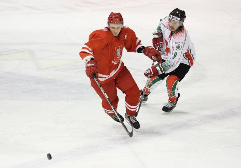 Ice Hockey. Euro Ice Hockey Challenge. Poland - Romania. 09.02.2013