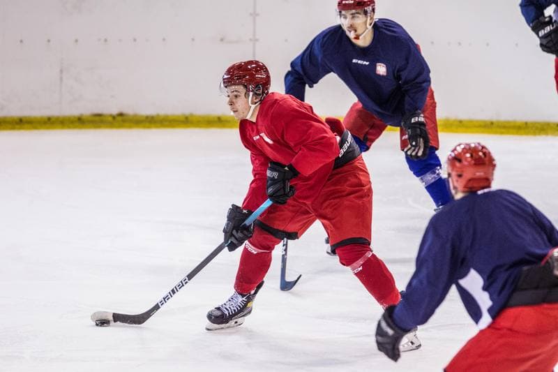 Ice Hockey. Poland national team. Training. 14.12.2020