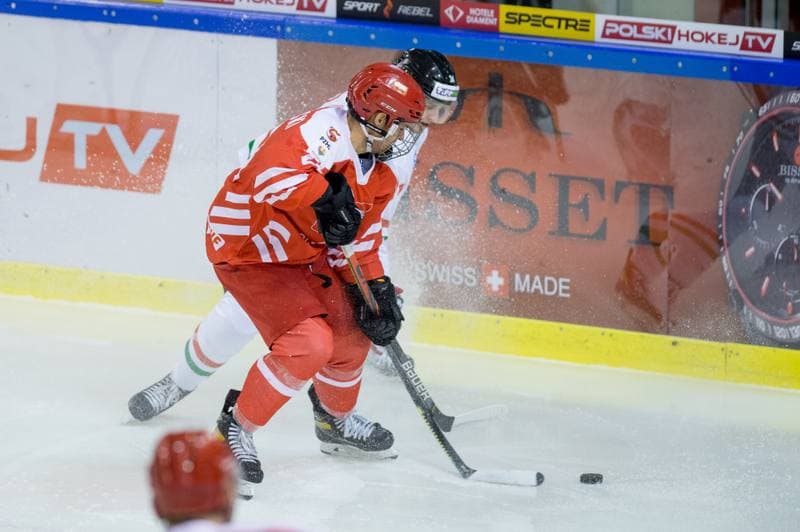 Ice Hockey. International Friendly. Poland - Hungary. 18.12.2020
