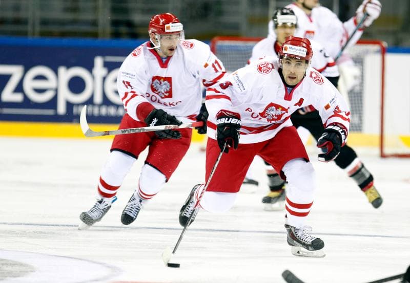 Ice Hockey. IIHF World Championship Division 1A. Poland - Japan. 20.04.2015