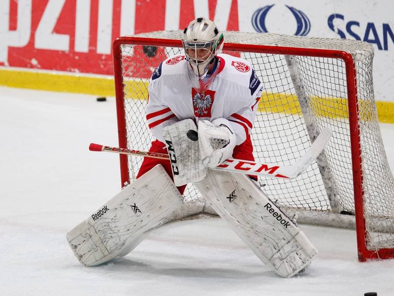 Ice Hockey. International Friendly Match. Poland - Lithuania. 14.04.2016