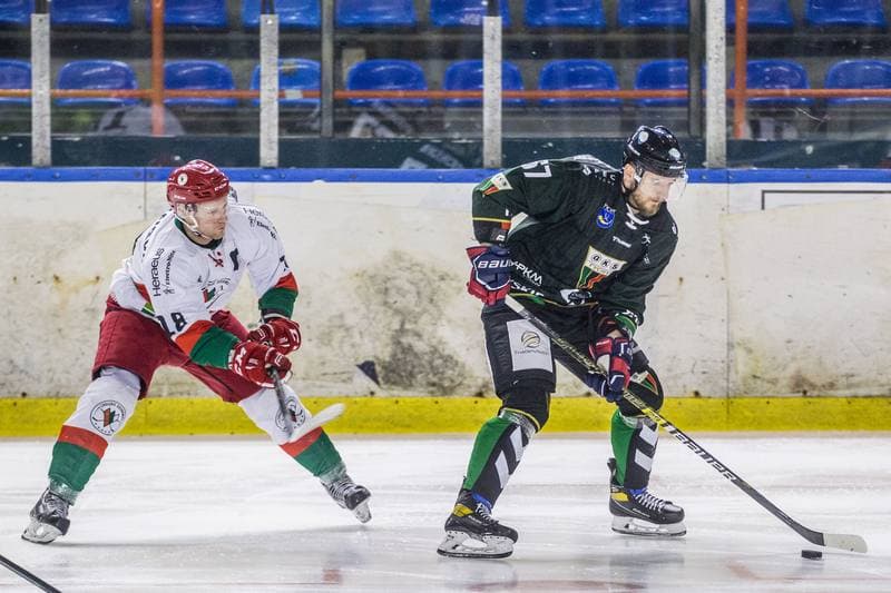 Ice Hockey. PHL. Zaglebie Sosnowiec - GKS Tychy. 17.02.2021