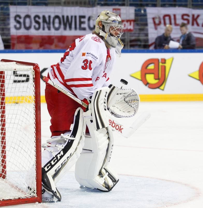 Ice Hockey. IIHF World Championship Division 1A. Poland - Ukraine. 22.04.2015