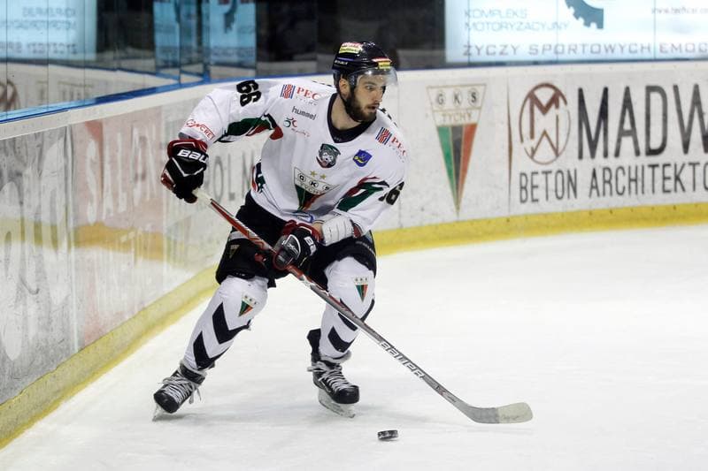 Ice Hockey. Polska Hokej Liga. GKS Tychy - Tempish Polonia Bytom. 07.03.2017