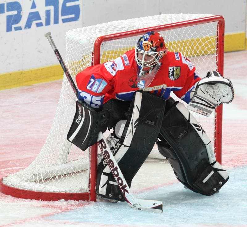Ice Hockey. Polska Hokej Liga. HC GKS Katowice - Polonia Bytom. 01.02.2015