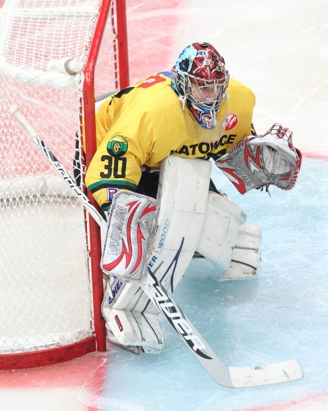 Ice Hockey. Polska Hokej Liga. HC GKS Katowice - Polonia Bytom. 01.02.2015