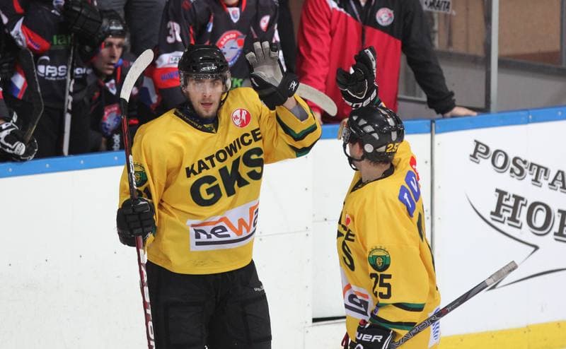 Ice Hockey. Polska Hokej Liga. HC GKS Katowice - Ciarko KH Sanok. 17.01.2014