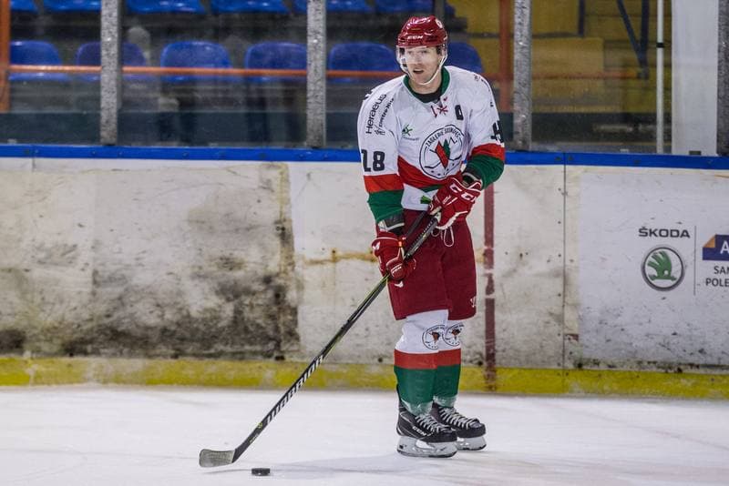 Ice Hockey. Polska Hokej Liga. Zaglebie Sosnowiec - GKS Tychy. 15.11.2020
