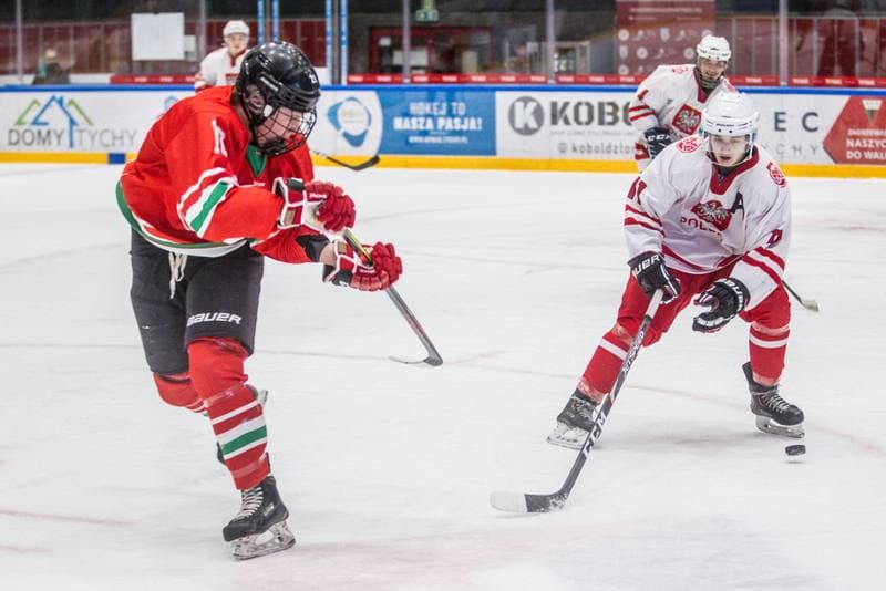 Ice Hockey. International Friendly. Poland U20 - Hungary U20. 09.04.2021