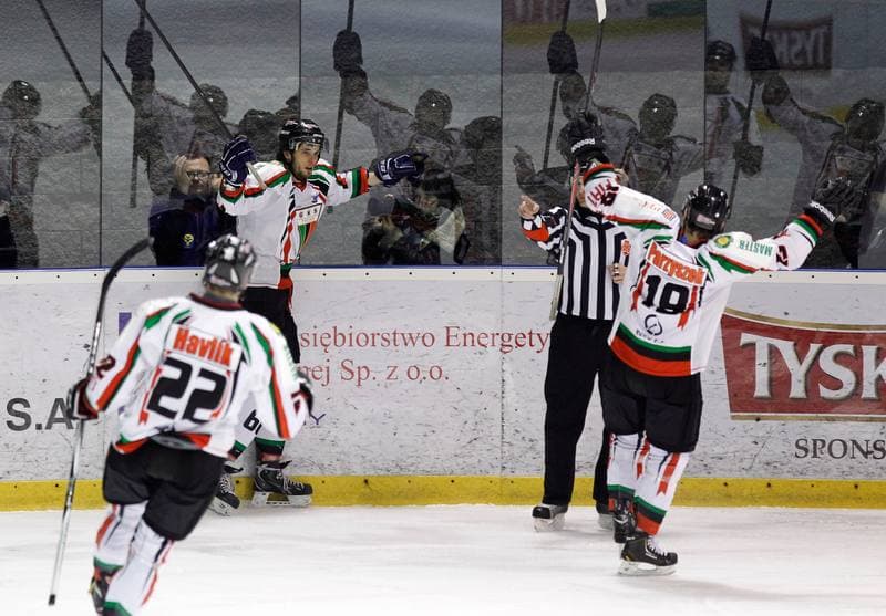 Ice Hockey. Polska Hokej Liga. GKS Tychy - Ciarko KH Sanok. 23.01.2015