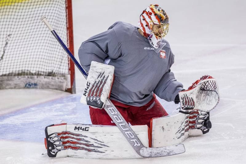 Ice Hockey. Poland national team. Training. 14.12.2020