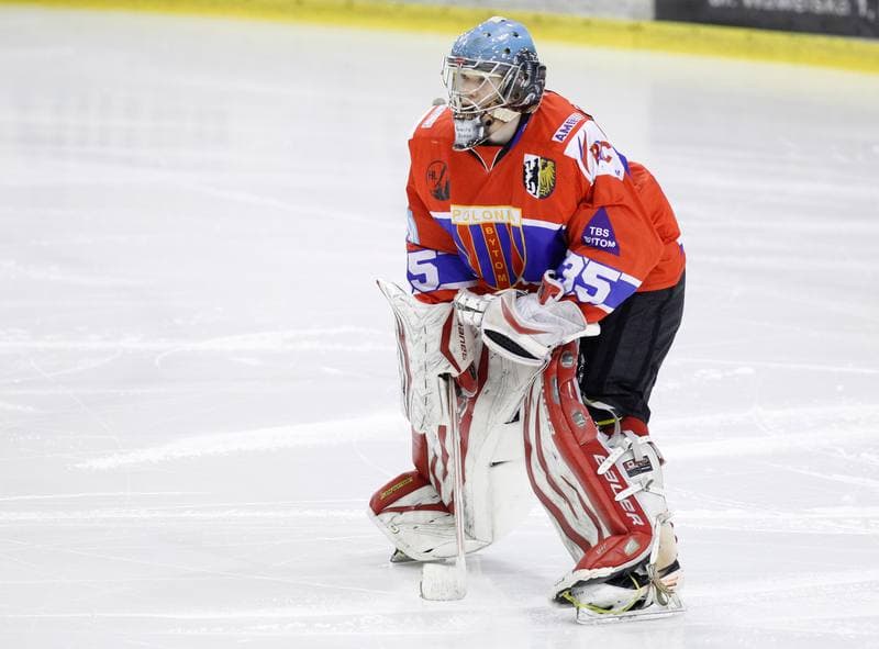 Ice Hockey. Polska Hokej Liga. Naprzod Janow - Polonia Bytom. 09.10.2014