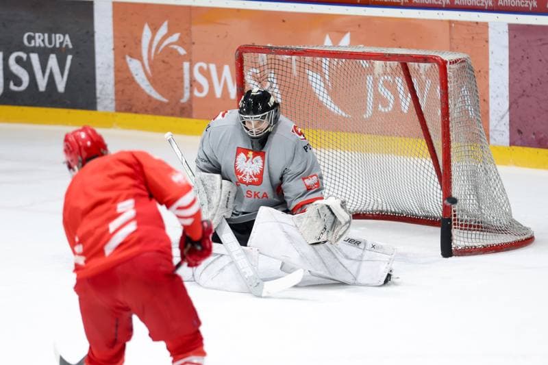 Ice Hockey. Poland national team. Training. 02.04.2024