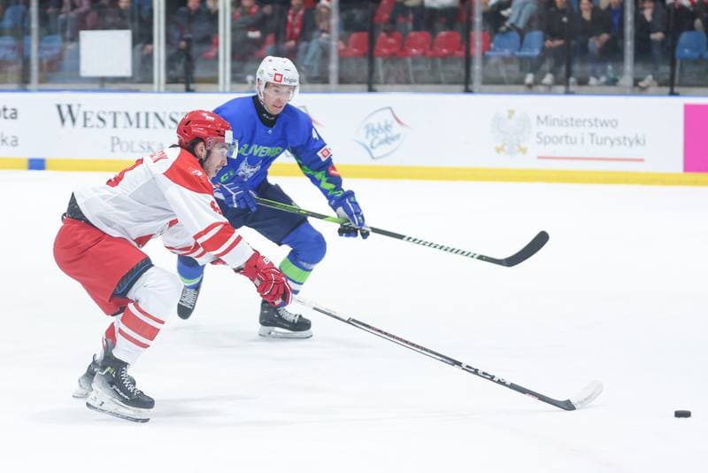Ice Hockey. Friendly Match. Poland - Slovenia. 18.04.2024