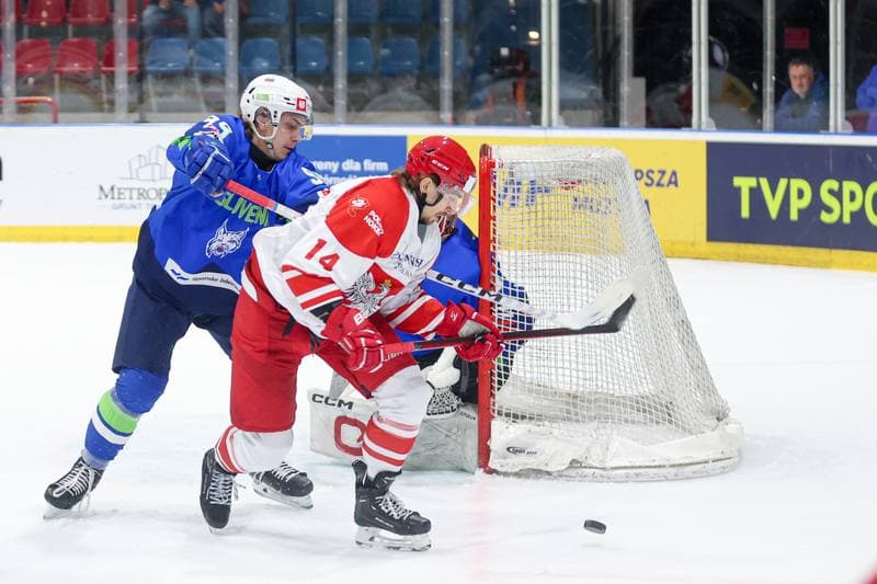 Ice Hockey. Friendly Match. Poland - Slovenia. 19.04.2024