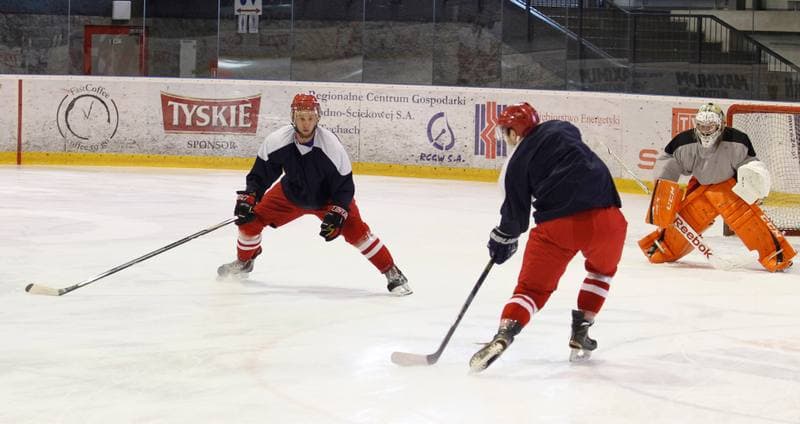Ice Hockey. Poland national team. Training. 14.04.2015