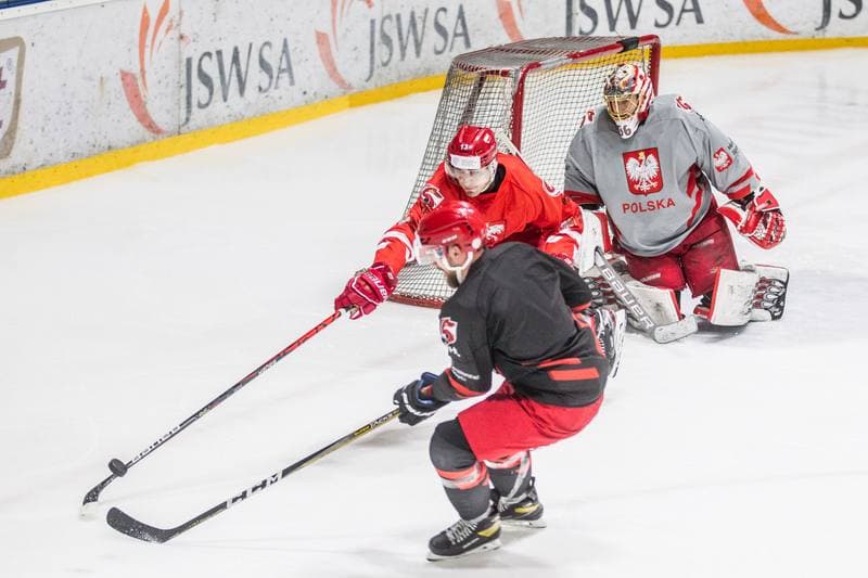 Ice Hockey. Poland national team. Training. 12.05.2021