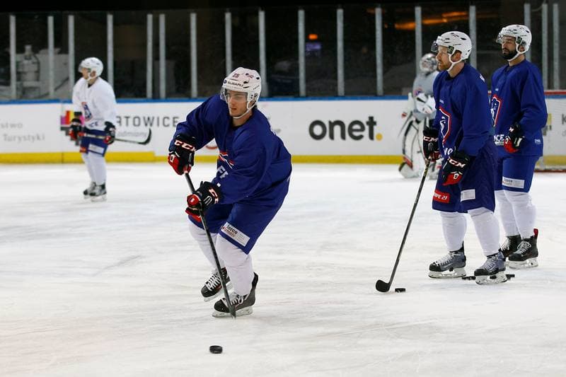 Ice Hockey. France. Training. 15.12.2015
