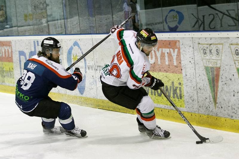Ice Hockey. Polska Hokej Liga. GKS Tychy - Ciarko STS Sanok. 15.01.2016