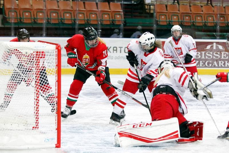 Ice Hockey. Women's Friendly Match. Poland - Hungary. 05.02.2016