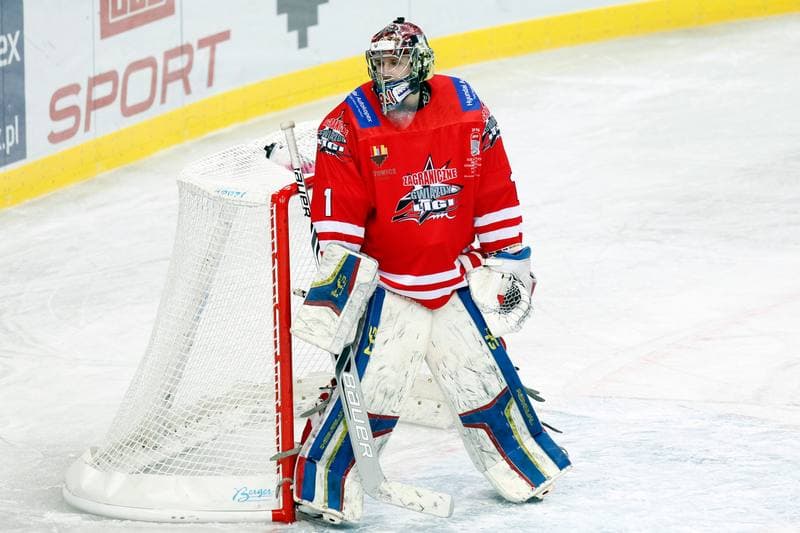 Ice Hockey. Poland national team. Stars of PHL. 06.02.2016