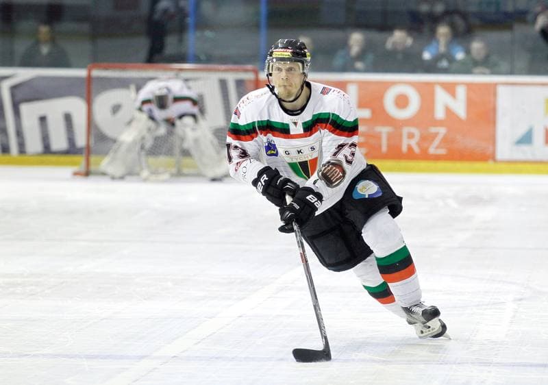 Ice Hockey. Polish Hockey League. GKS Tychy - Comarch Cracovia. 18.03.2016