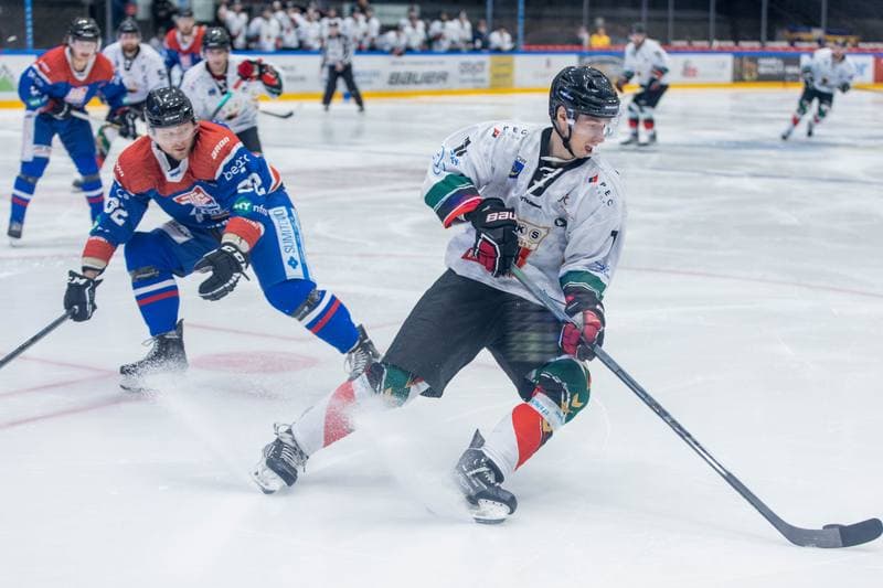 Ice Hockey. Polska Hokej Liga. GKS Tychy - Marma Ciarko STS Sanok. 04.11.2022