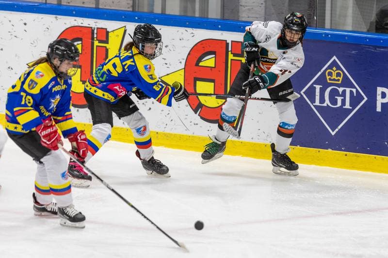 Ice Hockey. PLHK. Kojotki Naprzod Janow - MMKS Podhale Nowy Targ. 12.11.2022