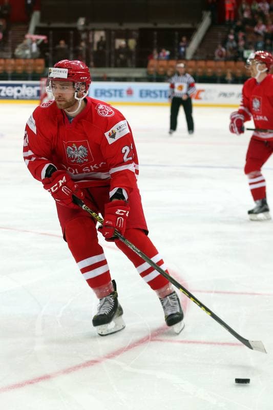 Ice Hockey. World Championship Division 1A. Poland - Korea. 24.04.2016