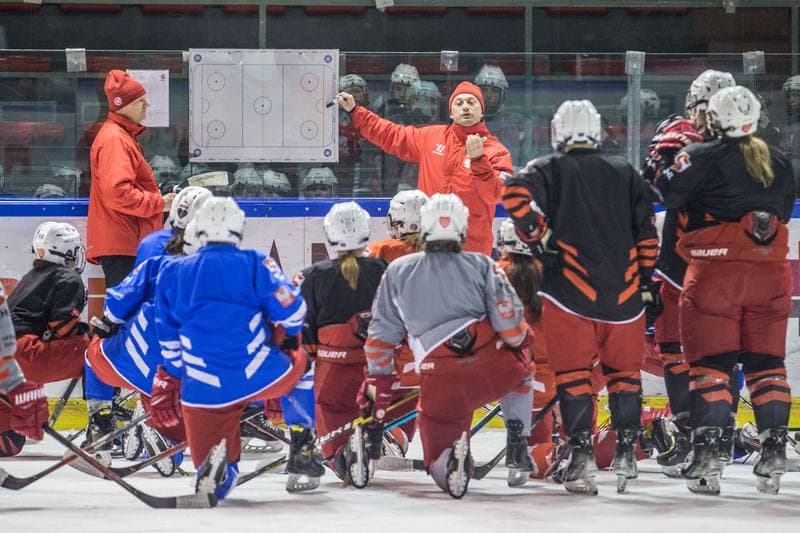 Ice Hockey. Poland national team. Training. 31.03.2022