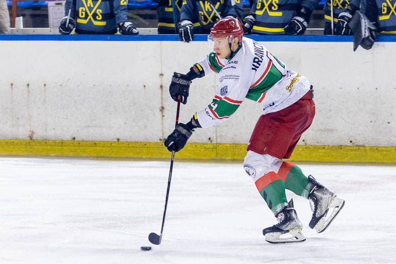 Ice Hockey. PHL. Zaglebie Sosnowiec - GKS Katowice. 08.01.2023