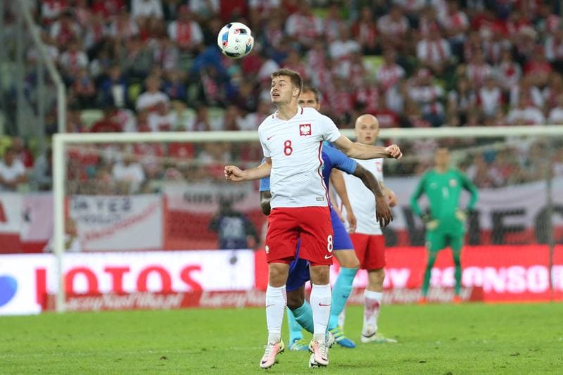 Football. International Friendly. Poland - Netherlands. 01.06.2016