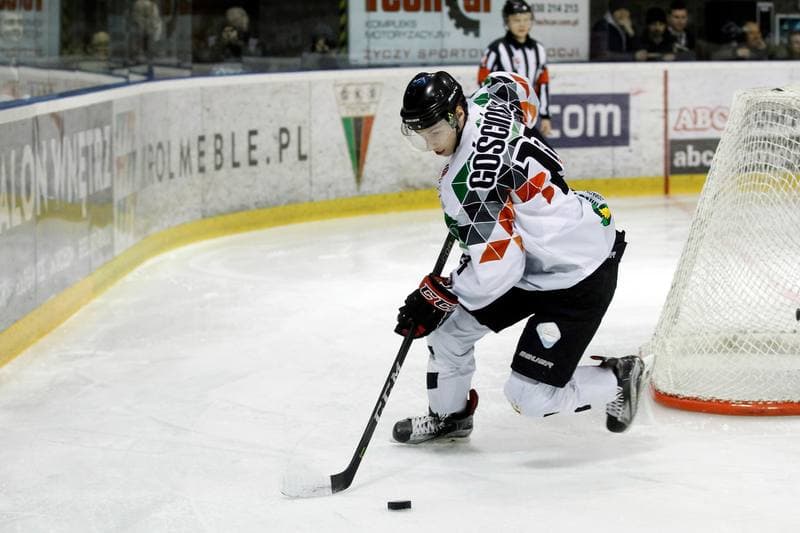 Ice Hockey. Polska Hokej Liga. GKS Tychy - Tauron KH GKS Katowice. 21.03.2018