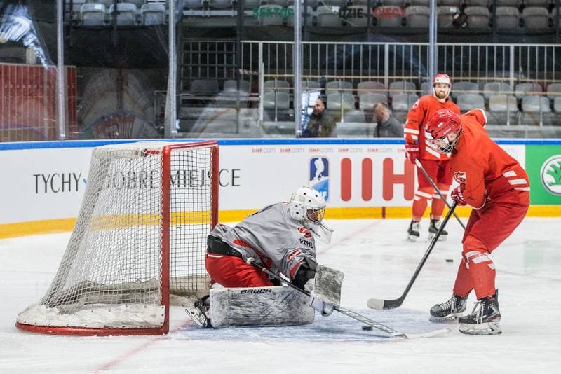 Ice Hockey. Poland national team. Training. 29.04.2022