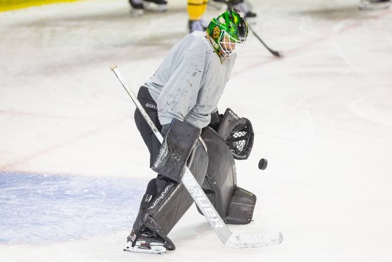Ice Hockey. GKS Katowice. Training. 01.08.2022