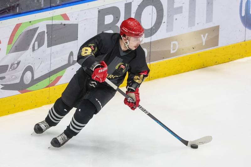 Ice Hockey. Tauron Hokej Liga. Zaglebie Sosnowiec - Comarch Cracovia. 19.11.2023