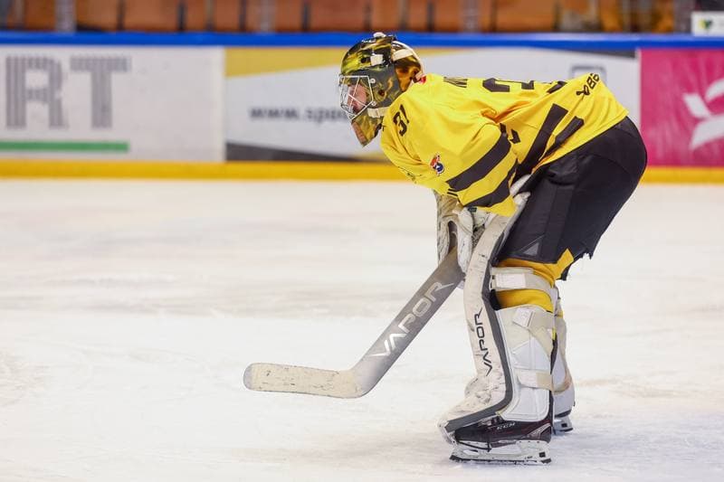 Ice Hockey. Tauron Hokej Liga. GKS Katowice - Comarch Cracovia. 26.11.2023