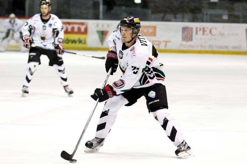 Ice Hockey. Polska Hokej Liga. GKS Tychy - Tatryski Podhale Nowy Targ. 03.01.2017