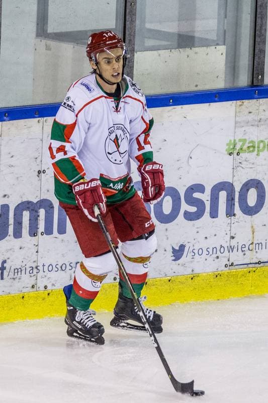 Ice Hockey. Polska Hokej Liga. Zaglebie Sosnowiec - Lotos PKH Gdansk. 22.09.2019