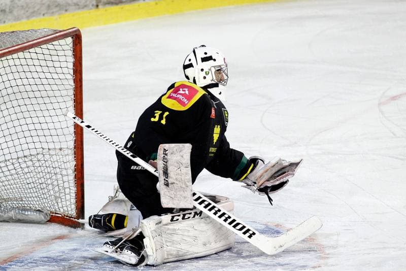Ice Hockey. Polska Hokej Liga. SMS PZHL Sosnowiec - Tauron KH GKS Katowice. 31.01.2017
