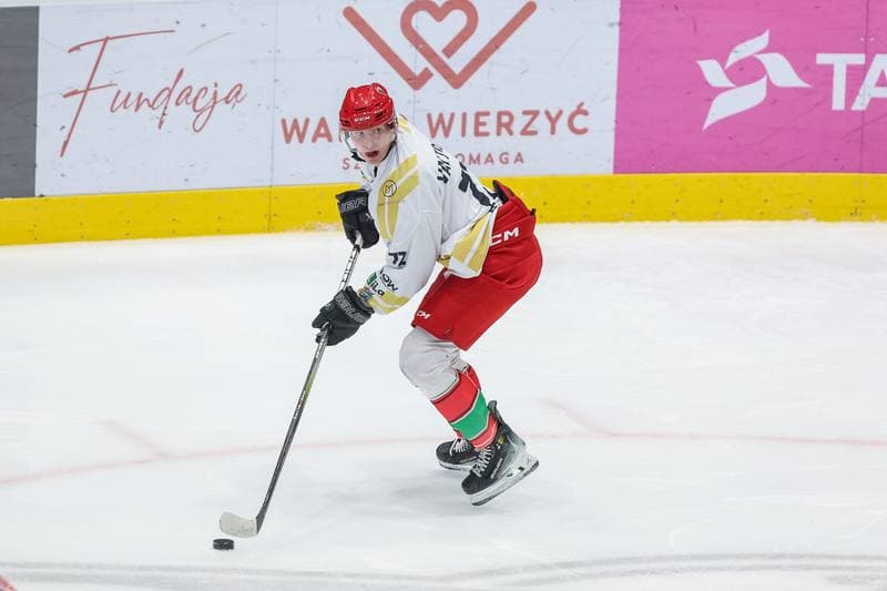 Ice Hockey. Tauron Hokej Liga. Zaglebie Sosnowiec - GKS Tychy. 20.12.2023