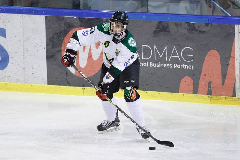 Ice Hockey. I Liga. Naprzod Janow - UKH Debica. 12.02.2017