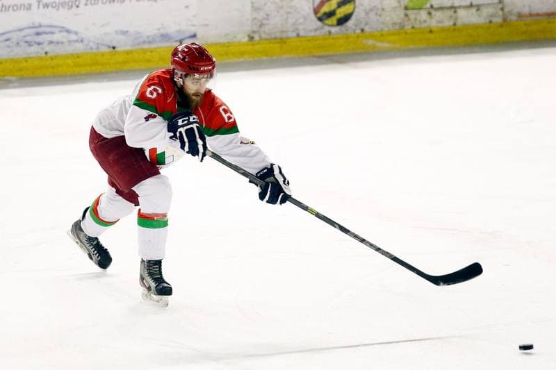 Ice Hockey. I Liga. Zaglebie Sosnowiec - UKH Debica. 18.02.2017